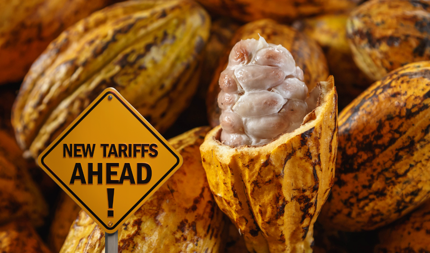 The Rising Price of Cacao: Implications for Producers and the Impact of Tariffs