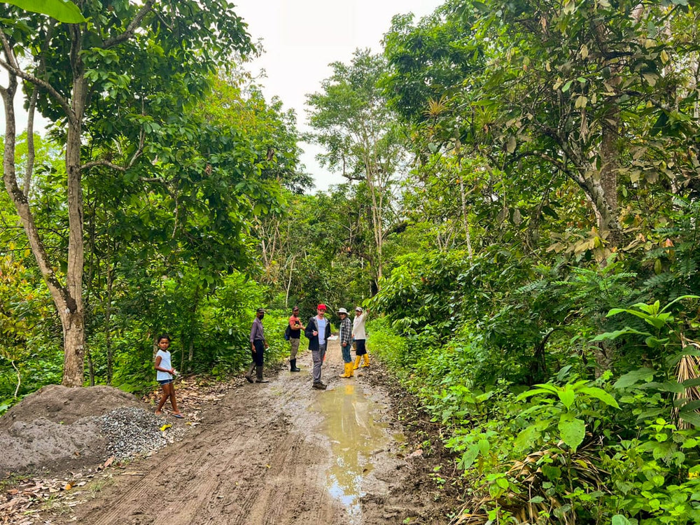 Cacao Expeditions with Unparalleled Flavors