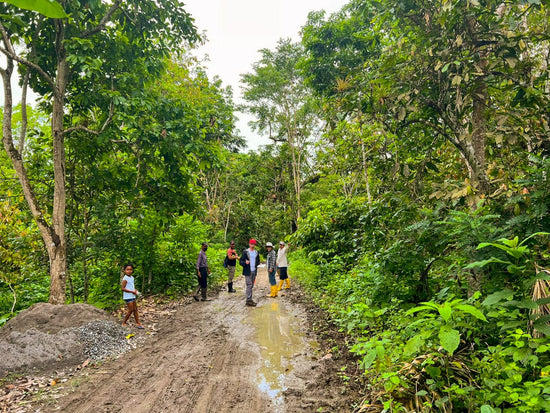 Cacao Expeditions with Unparalleled Flavors