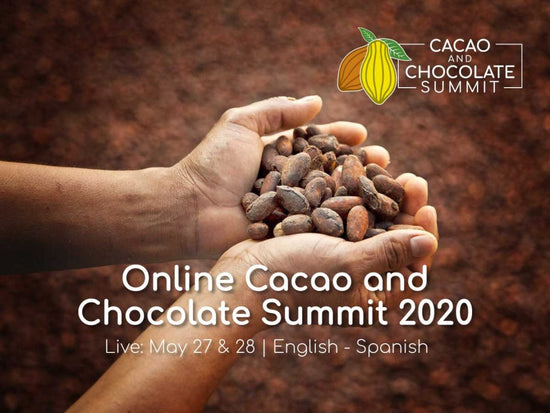Hands holding cocoa beans, invitation to the Cacao and Chocolate Summit 2020 Online