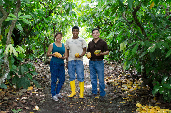 Cacao Expedition 2022