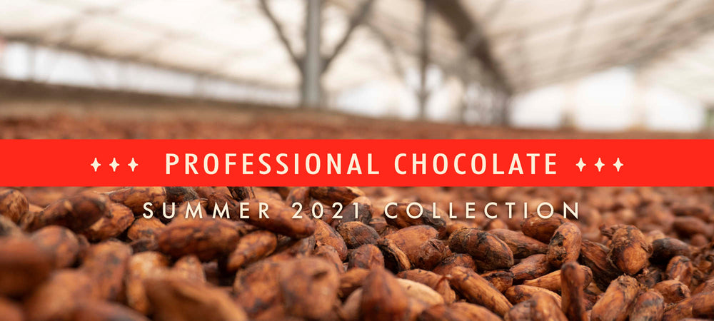 Close-up of cacao beans at a plantation in Ecuador with headline for Conexion Chocolate's Professional Chocolate Summer 2021 Collection