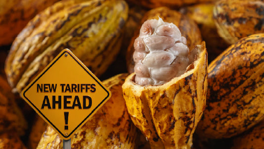 The Rising Price of Cacao: Implications for Producers and the Impact of Tariffs
