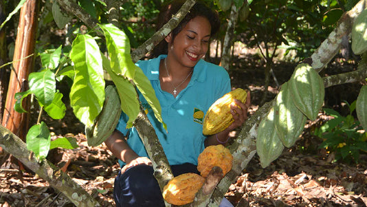 Gratitude for the Origin: What Does It Have to Do with Chocolate?