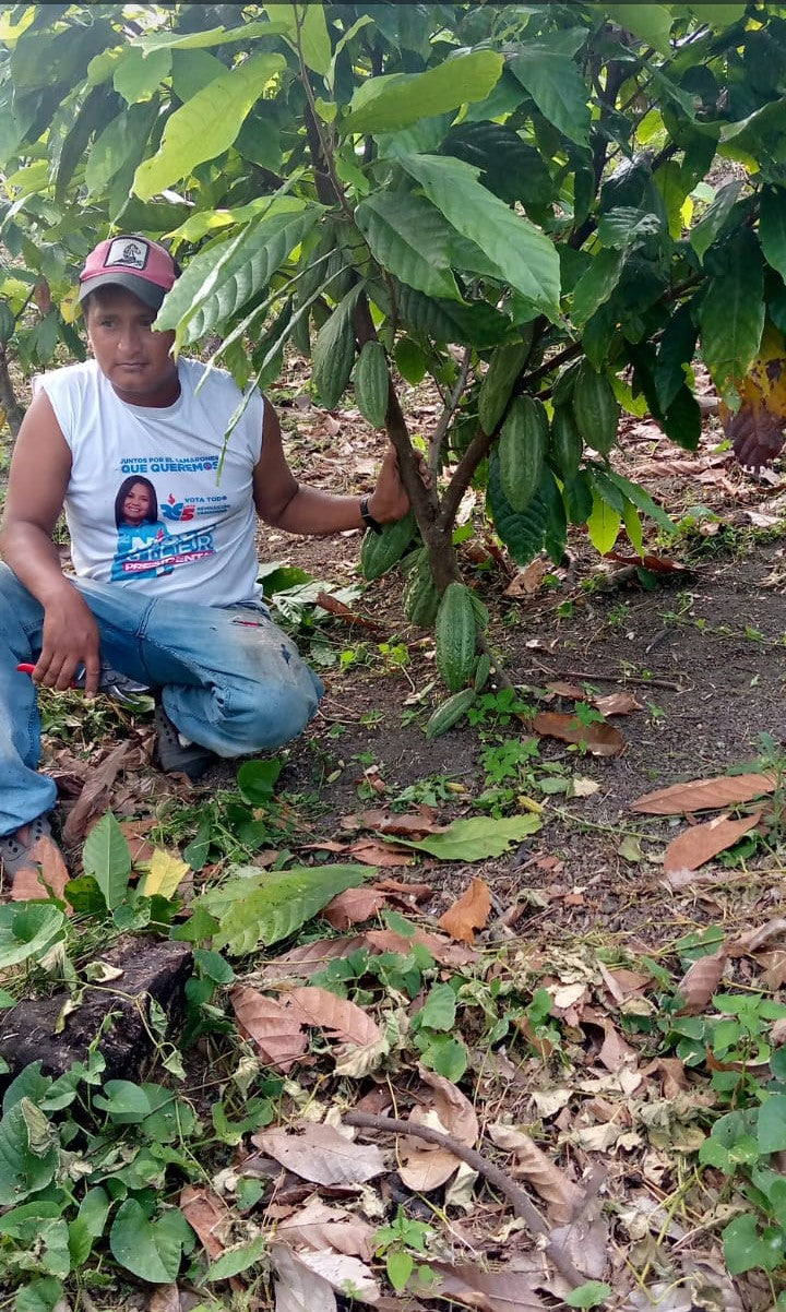 Sponsor a Cacao Producer – Cacao and Chocolate Summit 2025