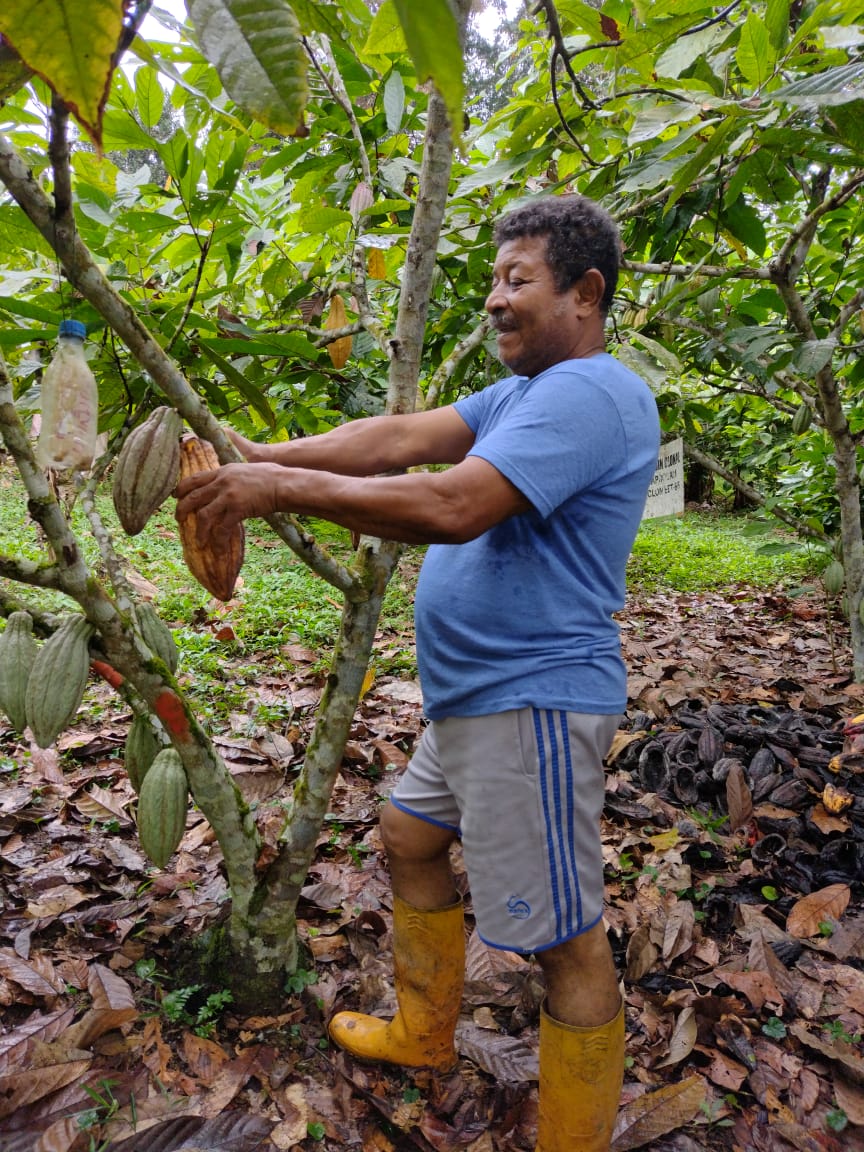 Sponsor a Cacao Producer – Cacao and Chocolate Summit 2025